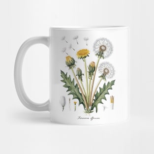 Vintage Dandelion Botanical Mug